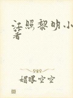 江照黎明小说原著