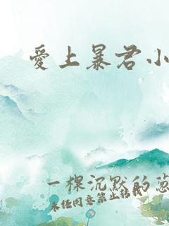 爱上暴君小甜心