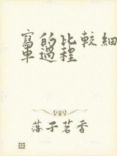 写的比较细的开车过程