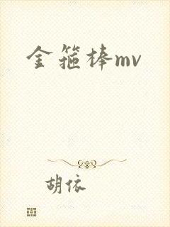 金箍棒mv