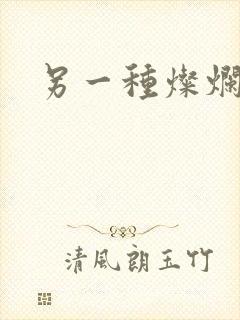 另一种灿烂生活