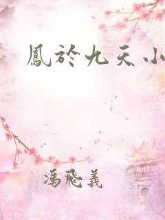 凤于九天小说