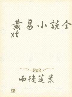 黄易小说全集txt