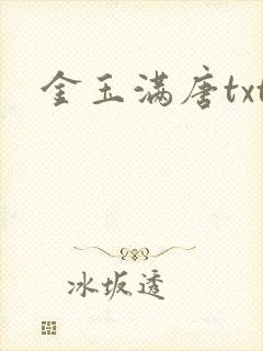 金玉满唐txt