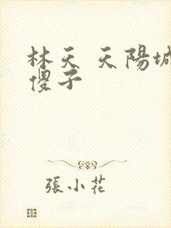 林天 天阳城 傻子