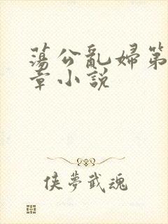 荡公乱妇第51章小说