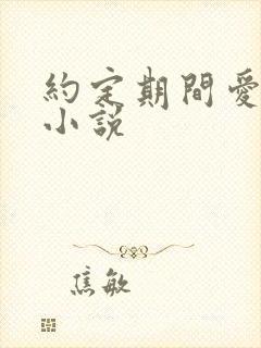 约定期间爱上你小说