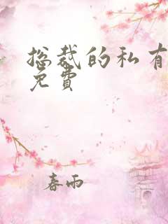 总裁的私有宝贝免费