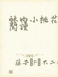 酥肉小桃花全文阅读