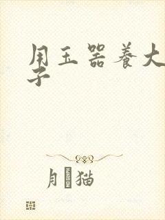 用玉器养大的皇子