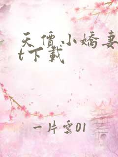 天价小娇妻txt下载