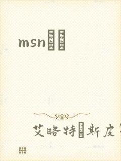 msnС˵