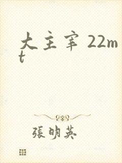 大主宰 22mt