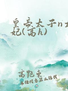 皇帝太子n太子妃(高h)