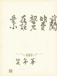 爱在黎明前降落小说免费阅读