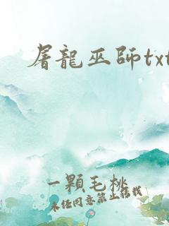 屠龙巫师txt