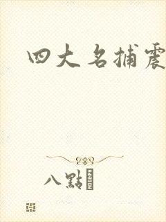 四大名捕震关东