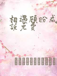 相遇顾盼成欢小说免费