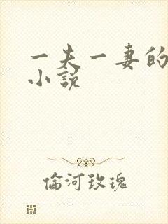 一夫一妻的玄幻小说
