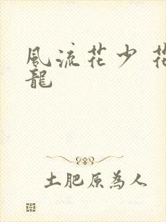 风流花少 花睿龙