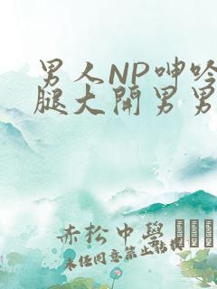 男人NP呻吟双腿大开男男小说