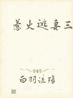 惹火逃妻三带一