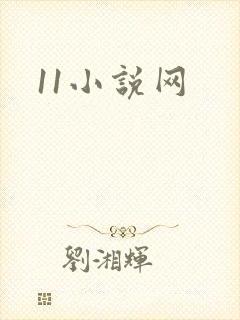 11小说网