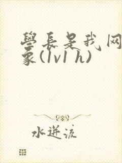 学长是我网恋对象(1v1 h)