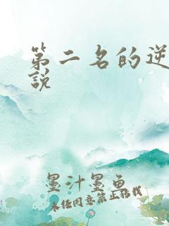 第二名的逆袭小说