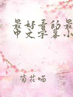 最好看的最新的中文字幕小说