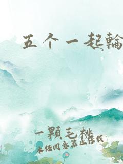 五个一起轮你
