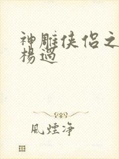 神雕侠侣之我是杨过