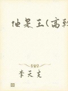 他是王(高干)