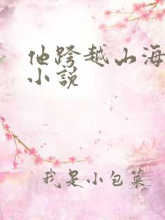 他跨越山海而来小说