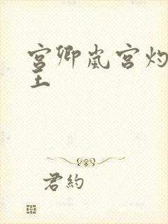 宫卿岚宫灼摄政王