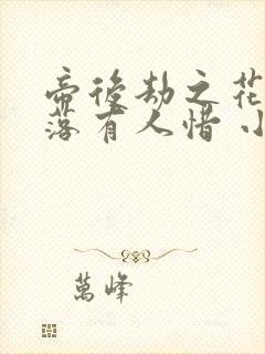 帝后劫之花开花落有人惜 小说