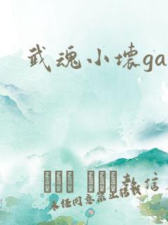 武魂小坏ga