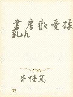 书房欢爱揉捏娇乳h