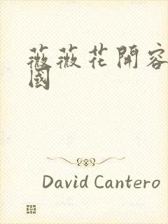 薇薇花开容颜倾国