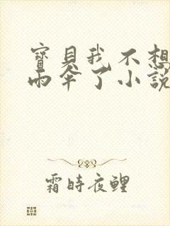 宝贝我不想带小雨伞了小说