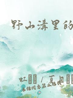 野山沟里的村庄