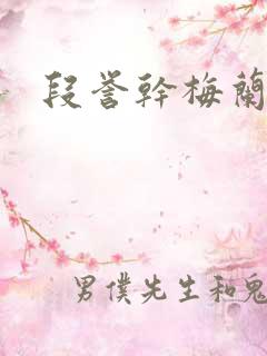 段誉干梅兰竹菊