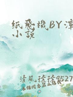 纸飞机BY潭石小说
