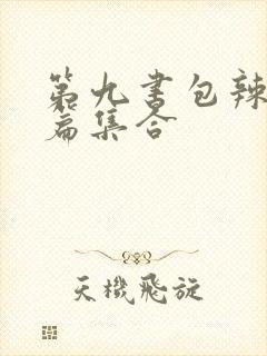 第九书包辣肉短篇集合