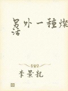 另外一种灿烂生活