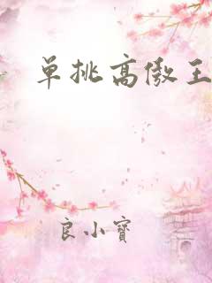 单挑高傲王子