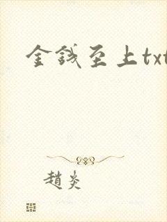金钱至上txt