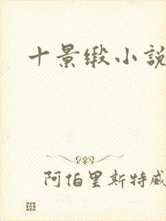 十景缎小说
