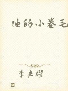 他的小卷毛