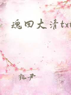 魂回大清txt
